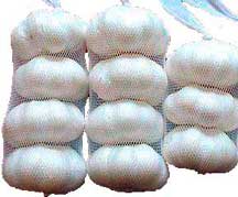garlic netted