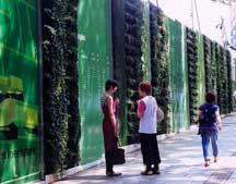 living wall